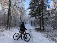 ein Bild aus dem Album